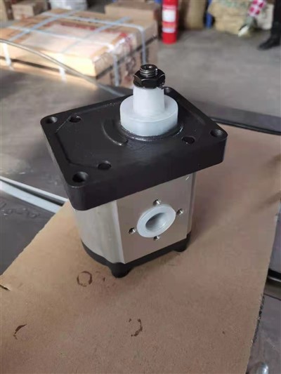 Pompe à engrenages hydraulique 20A(C)4.5X006 Groupe 20